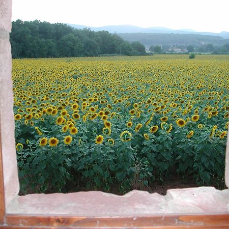 Casale Il Colombaio Di Toiano Casa de hóspedes Valli Exterior foto