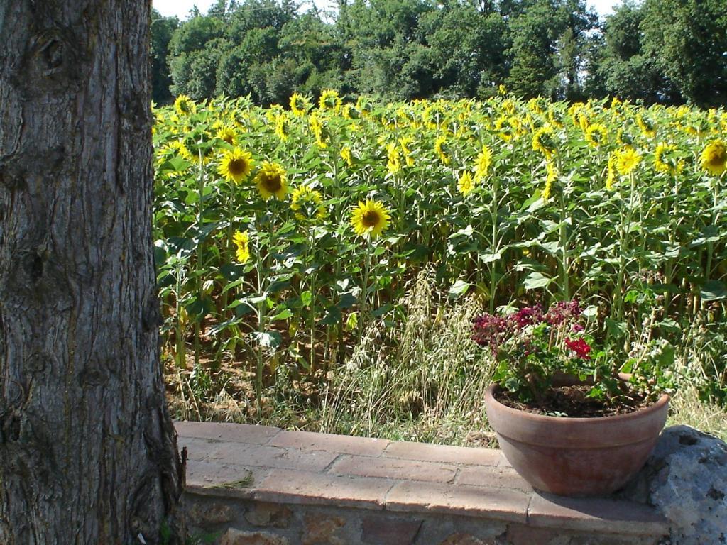 Casale Il Colombaio Di Toiano Casa de hóspedes Valli Quarto foto