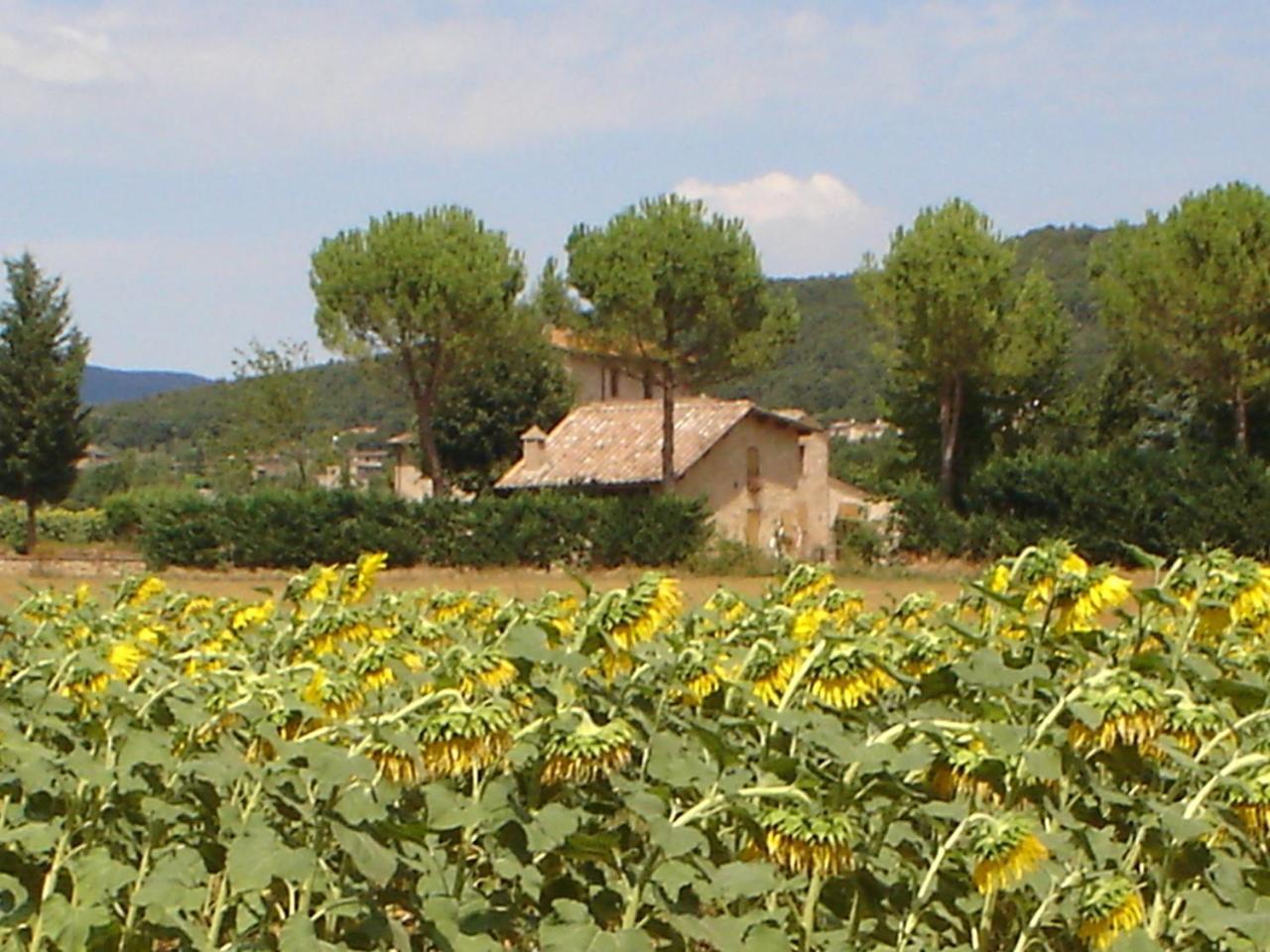 Casale Il Colombaio Di Toiano Casa de hóspedes Valli Exterior foto