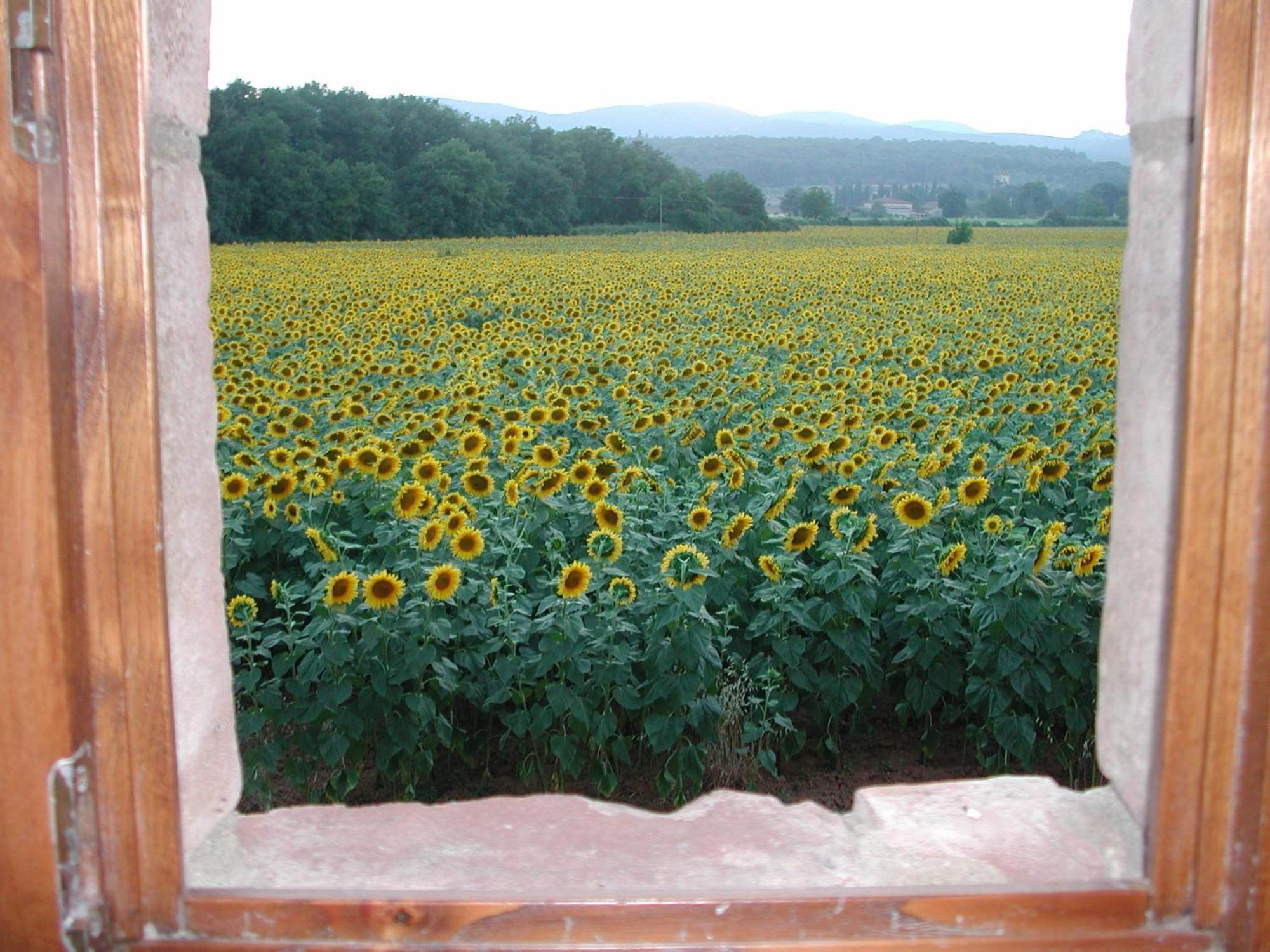 Casale Il Colombaio Di Toiano Casa de hóspedes Valli Exterior foto
